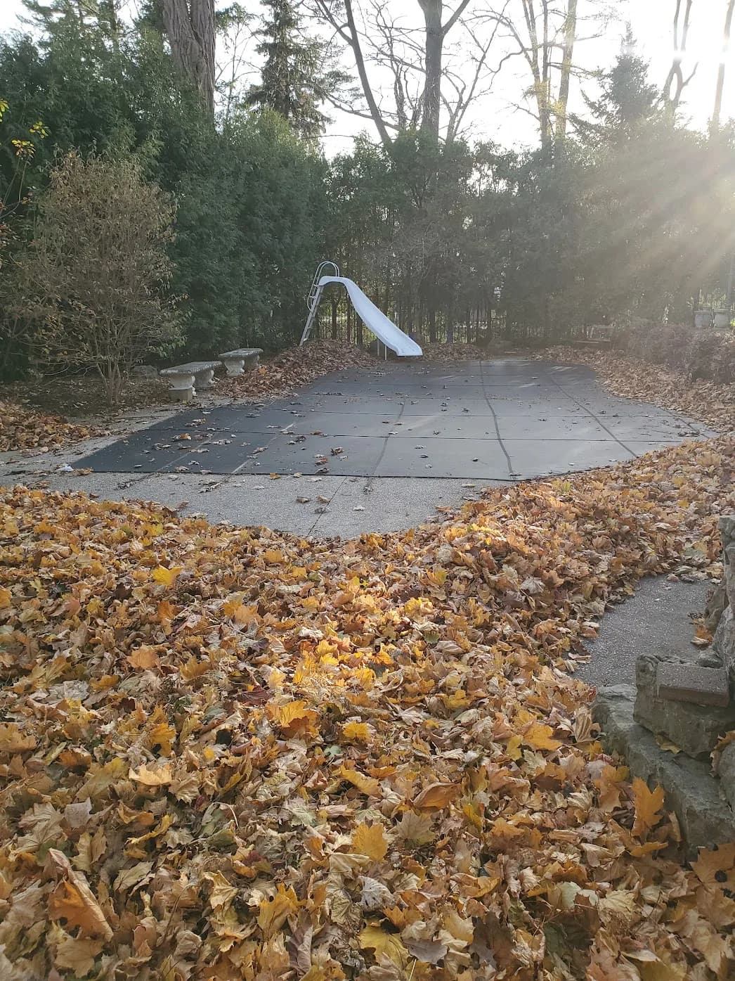 Fall yard clean up before photo of a Hamilton backyard pool area covered in leaves and debris