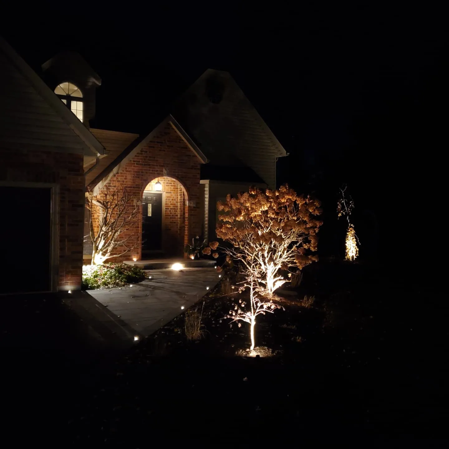 Landscape lighting design with tree uplighting and outdoor lighting along a stone walkway