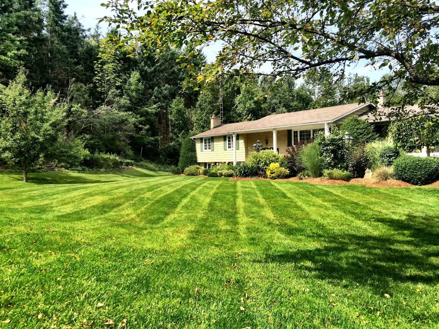 Professionally maintained lawn and landscaped property in Hamilton, Ontario