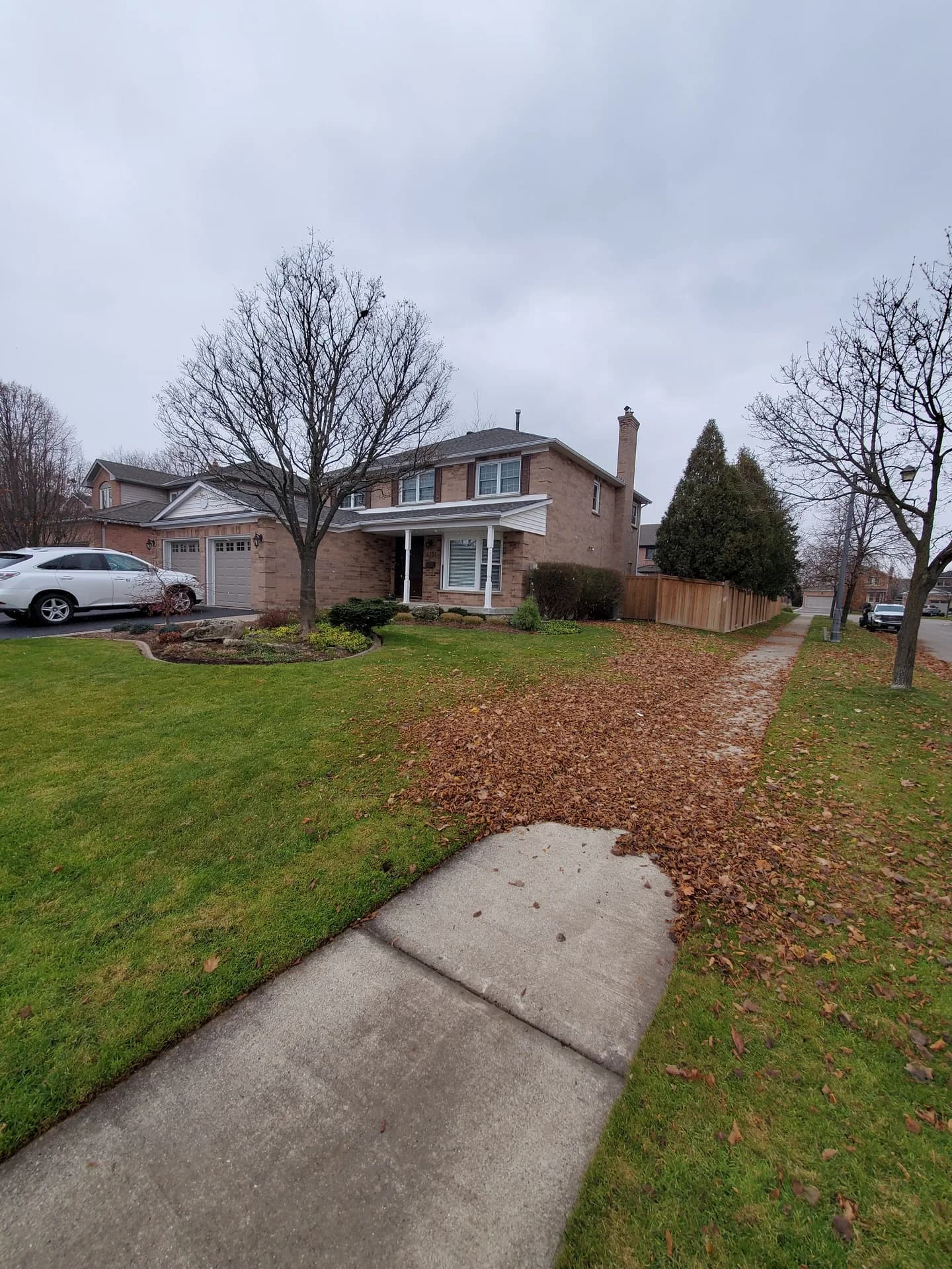 Before fall leaf removal in Hamilton with heavy leaf buildup covering the sidewalk, lawn, and front yard of a suburban home