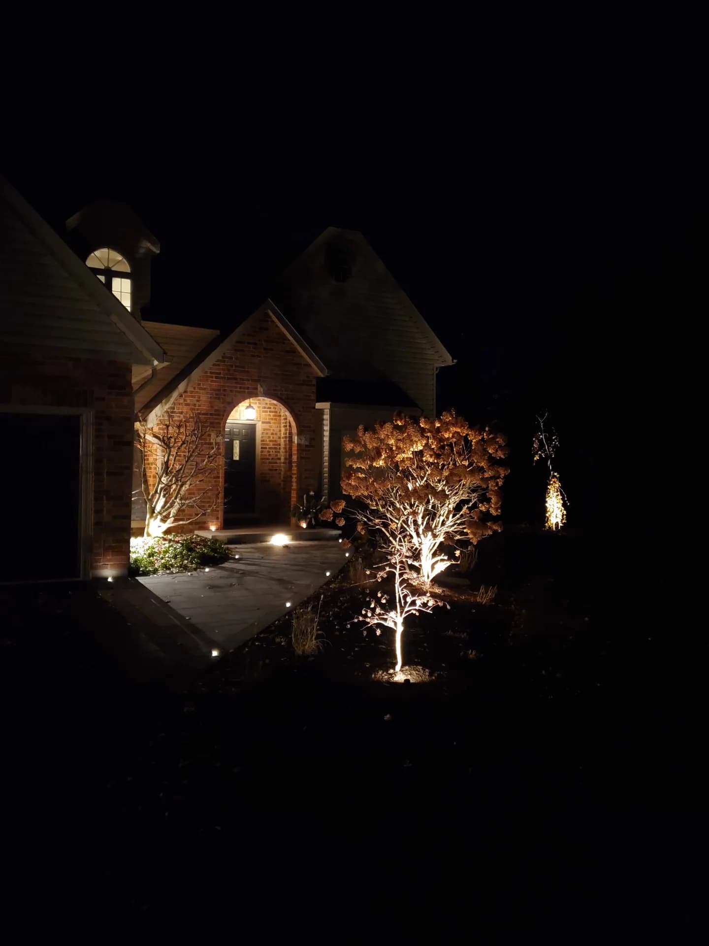 LED landscape lighting with tree uplighting and path lights along a stone walkway to a brick home in Hamilton at night