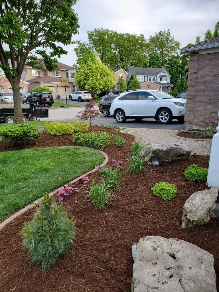 Fresh mulch garden bed with ornamental shrubs, boulders, and curved lawn edging at a residential landscaping project in Burlington, Ontario