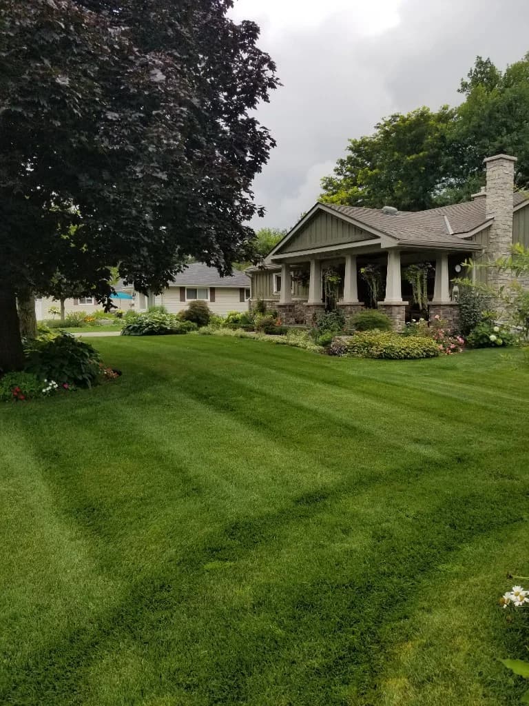 Lawn mowing stripes on a manicured front lawn with garden beds and ornamental trees at a Dundas, Ontario home