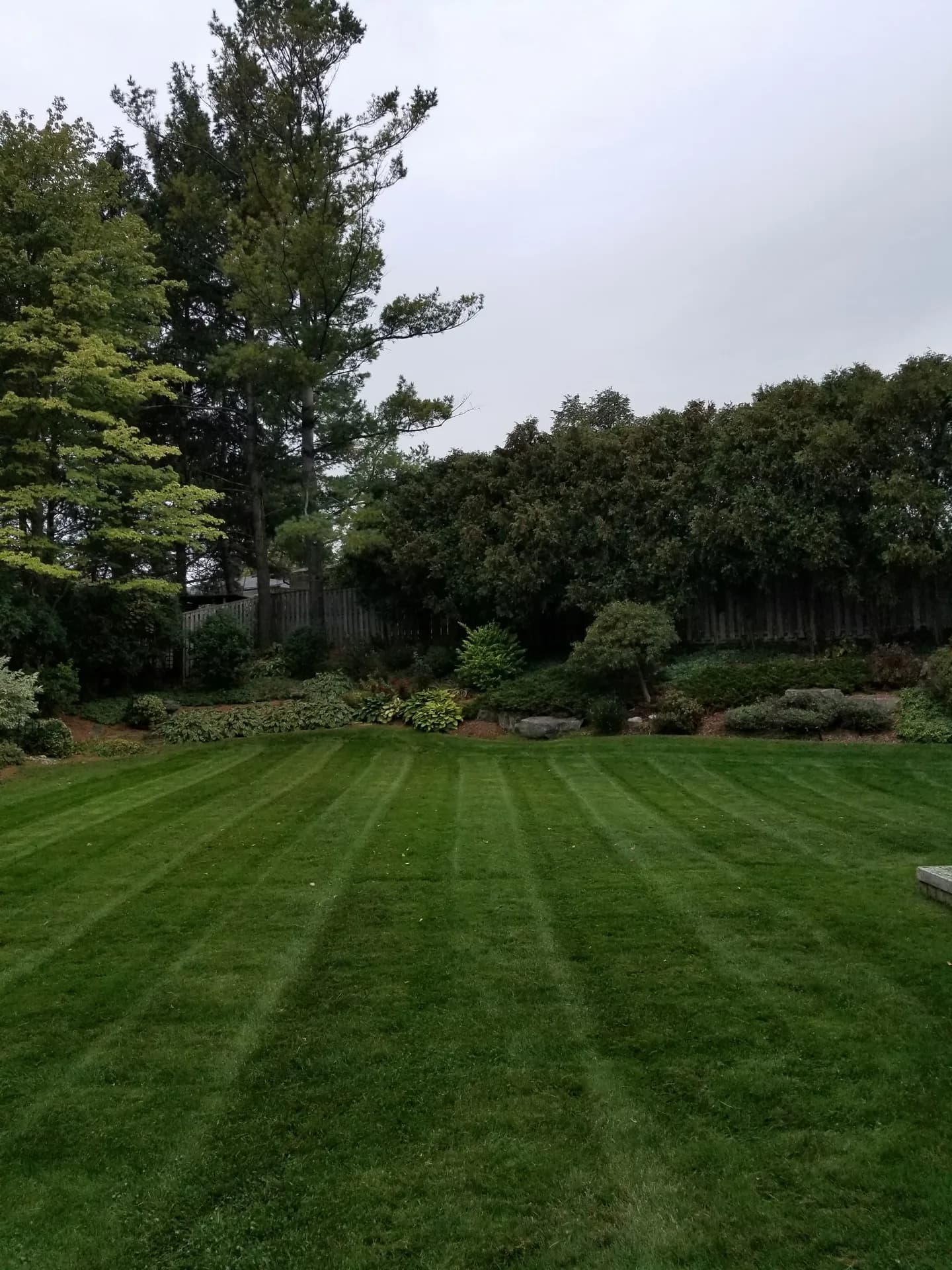 Backyard lawn care in Hamilton with professional mowing stripes, crisp bed edges, and tidy garden beds along a wooden fence