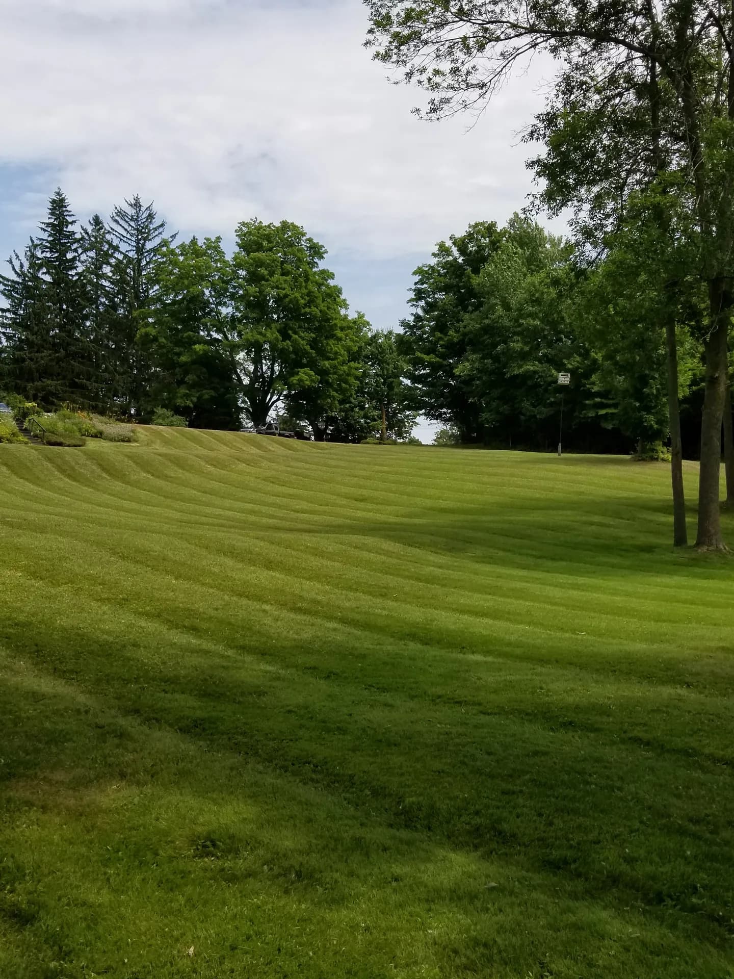 Curved lawn cutting stripes on a rolling Hamilton property with healthy green turf and tree-lined borders