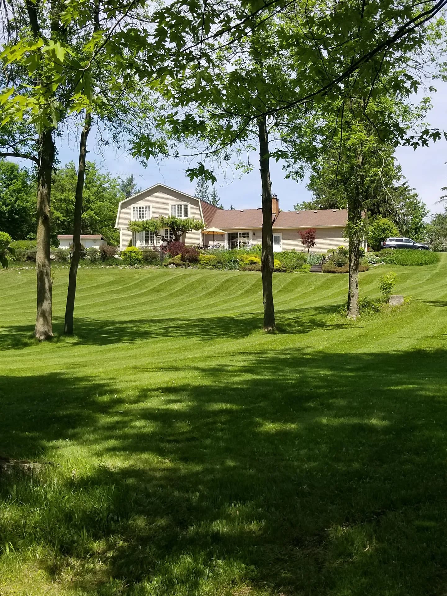 Large sloped residential lawn in Hamilton after weekly lawn mowing with visible striping and landscaped foundation beds