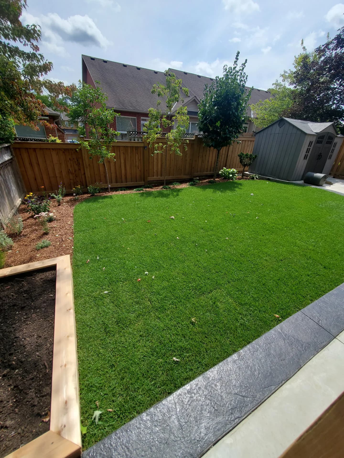 Fresh sod installation in a Hamilton backyard with a lush green lawn, wooden privacy fence, mulch beds, and a raised garden planter