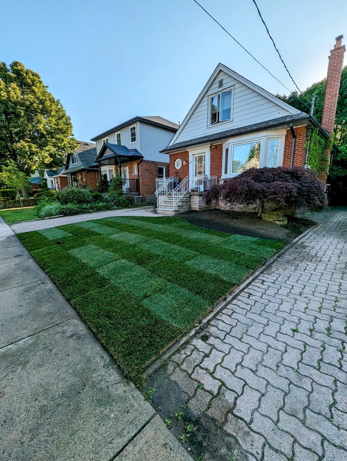 Fresh sod installation in a Hamilton front yard with new grass rolls beside an interlock paver driveway and a brick home with a Japanese maple
